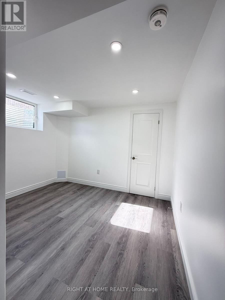 Basement - 42 Whistler Street, Hamilton (Stoney Creek Mountain), Ontario  L0P 1P0 - Photo 5 - X14124472
