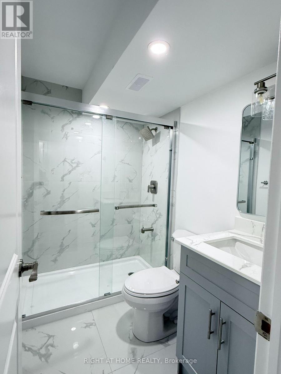 Basement - 42 Whistler Street, Hamilton (Stoney Creek Mountain), Ontario  L0P 1P0 - Photo 6 - X14124472
