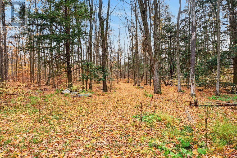 6628 17 Side Road, Halton Hills (Rural Halton Hills), Ontario  L7J 2M1 - Photo 43 - W14133450